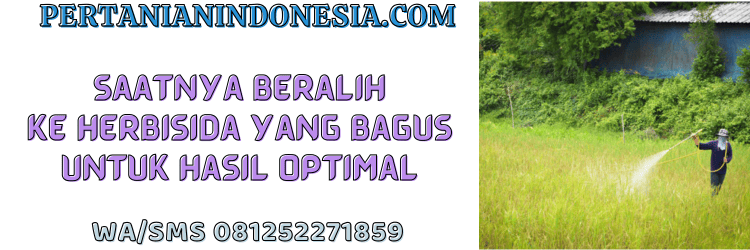 jual,murah,terjangkau,toko pertanian terdekat,pertanian indonesia